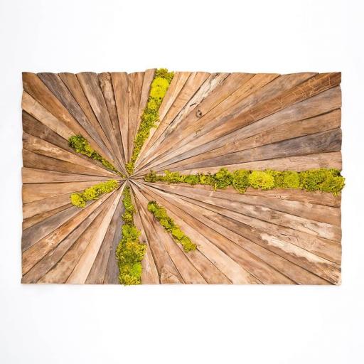 Grande Wooden Moss Art Rectangle