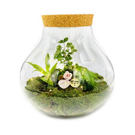 Mothers Day Limited Edition Secret Garden Ecosystem