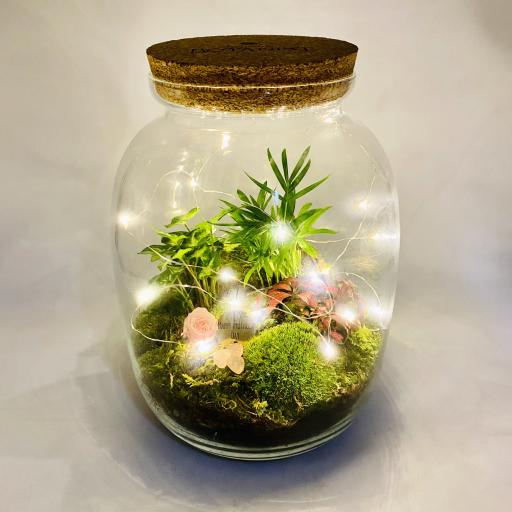 Mothers Day Limited Edition Biome Ecosystem