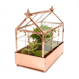 Rose Gold Succulent Greenhouse 3:4view 2.jpg
