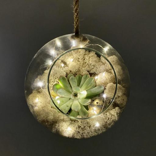 Mother's Day Rustic Supersize Succulent Bauble