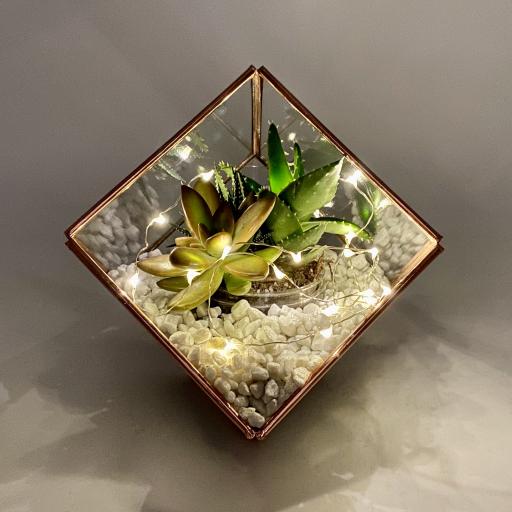 Copper Cube Terrarium with White Gravel