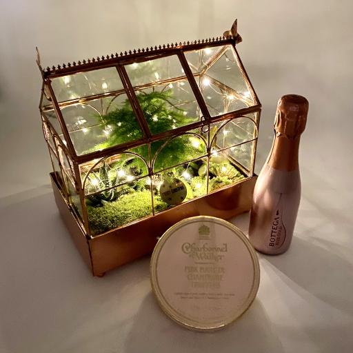 Limited Edition Rose Gold Succulent Greenhouse Prosecco Gift Set