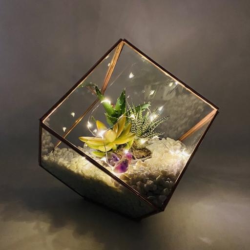 Amethyst Copper Cube Terrarium with White Gravel