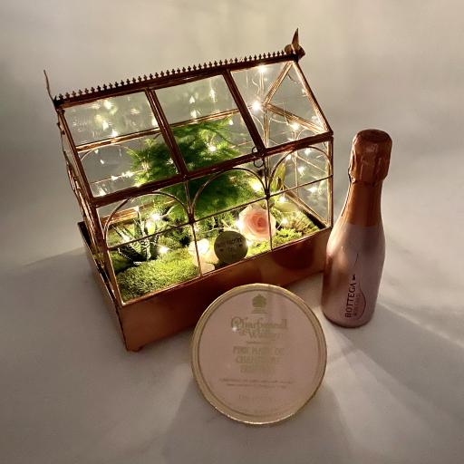 Valentines Day Rose Gold Succulent Greenhouse Prosecco Gift Set