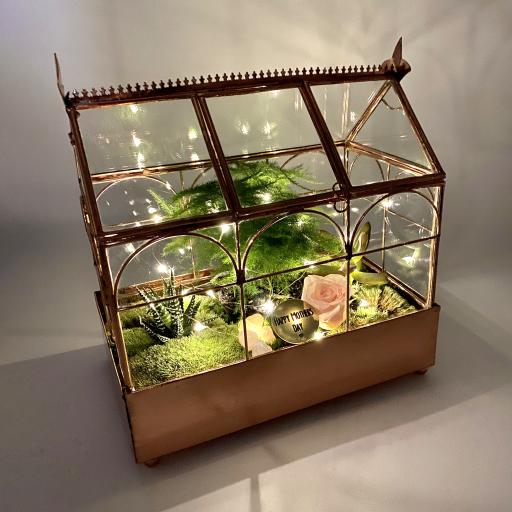 Mothers Day Rose Gold Succulent Greenhouse