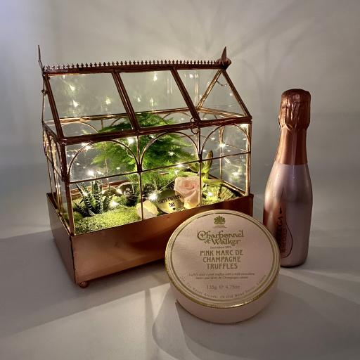 Mothers Day Succulent Greenhouse Prosecco Gift Set