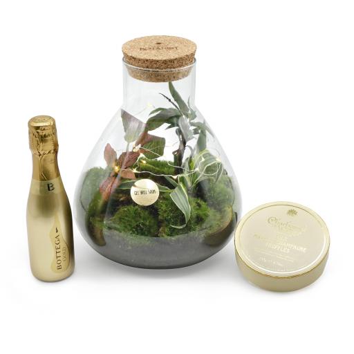 Get Well Soon Baby Petite Ecosystem Prosecco Gift Set