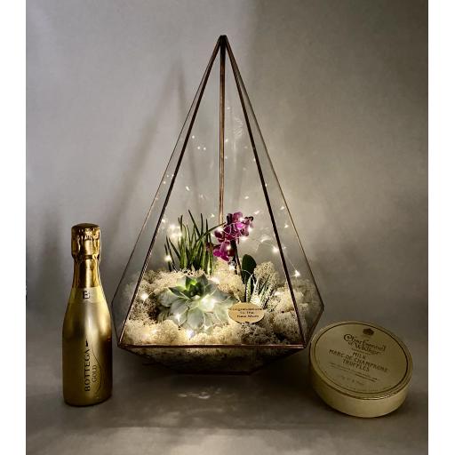 New Mum Supersize Copper Jewel Terrarium Prosecco Gift Set
