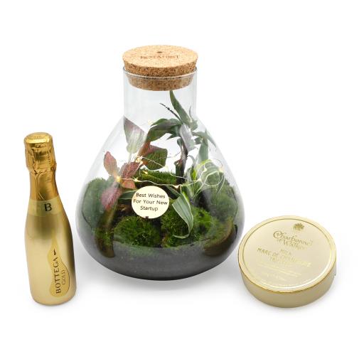 New start Up Baby Petite Ecosystem Prosecco Gift Set