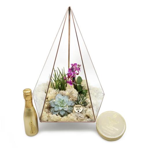 Wedding Gift Supersize Copper Jewel Terrarium Prosecco Gift Set