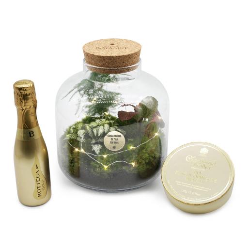 New Home Baby Grande Ecosystem Gift Set